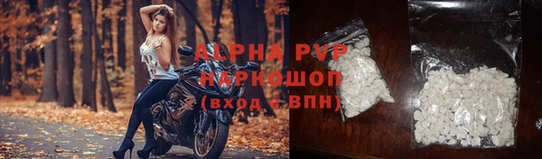 ECSTASY Медвежьегорск