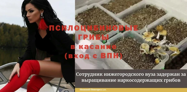 ECSTASY Медвежьегорск
