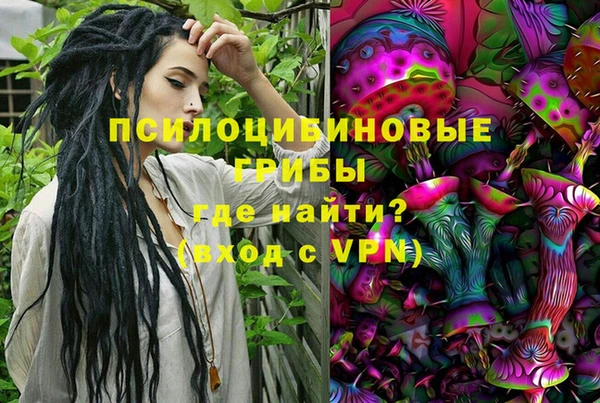 ECSTASY Медвежьегорск