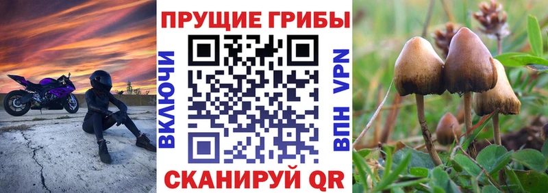 Псилоцибиновые грибы мицелий  Калязин 