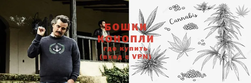 где купить наркоту  площадка телеграм  Канабис SATIVA & INDICA  Калязин 